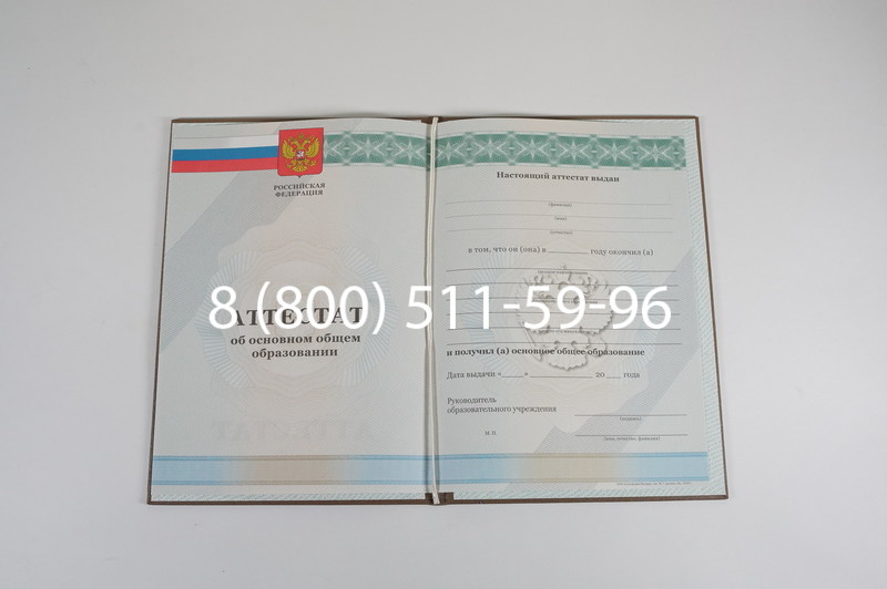Аттестат за 9 класс 2011-2013 годов в Подольске Аттестат за 9 класс 2011-2013 годов в Подольске