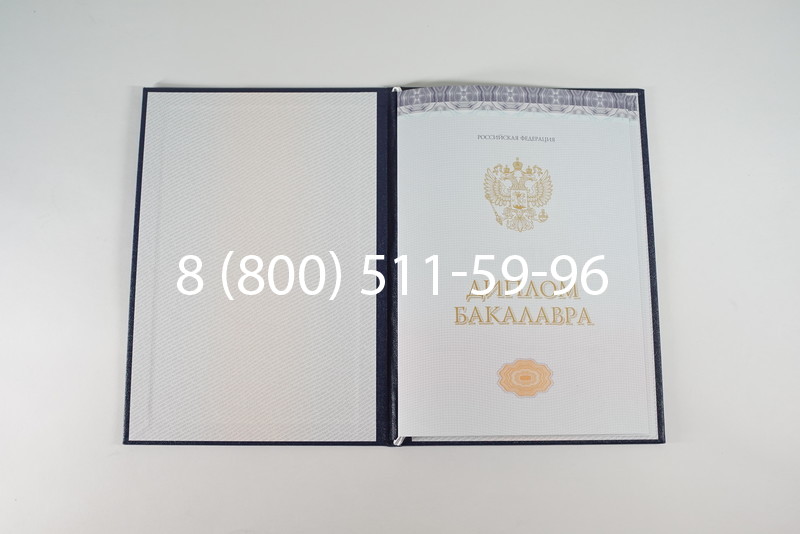 Диплом бакалавра (Киржач) 2014-2024 года в Подольске