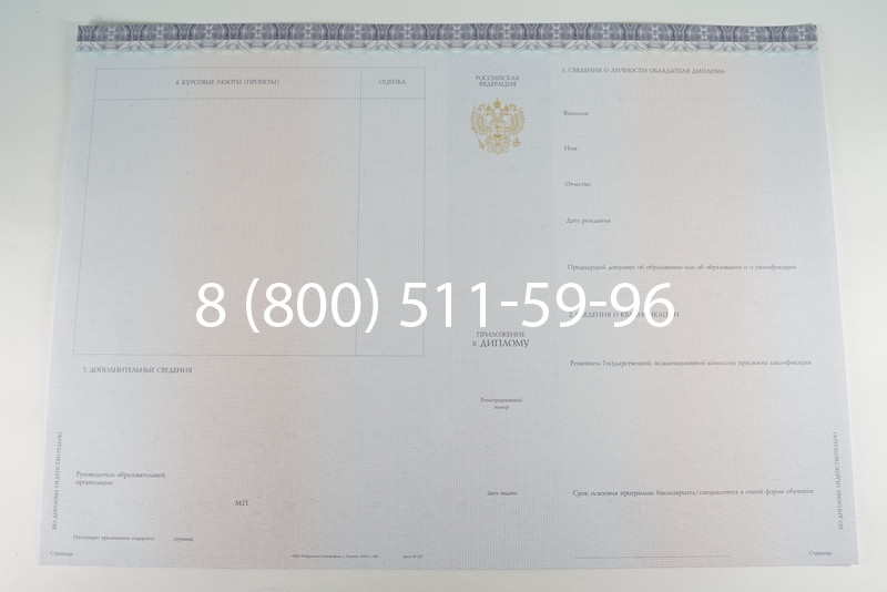 Диплом бакалавра (Киржач) 2014-2024 года в Подольске