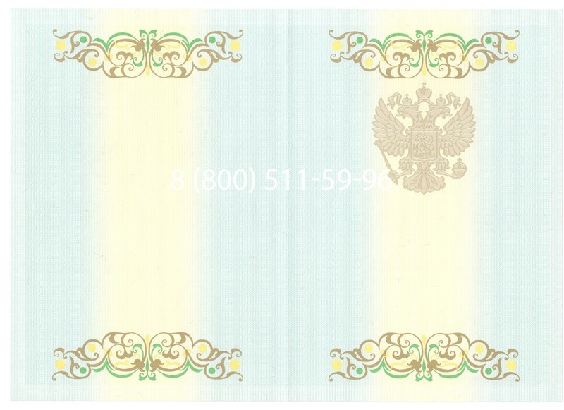 Купить Диплом бакалавра 2012-2013 годов в Подольске