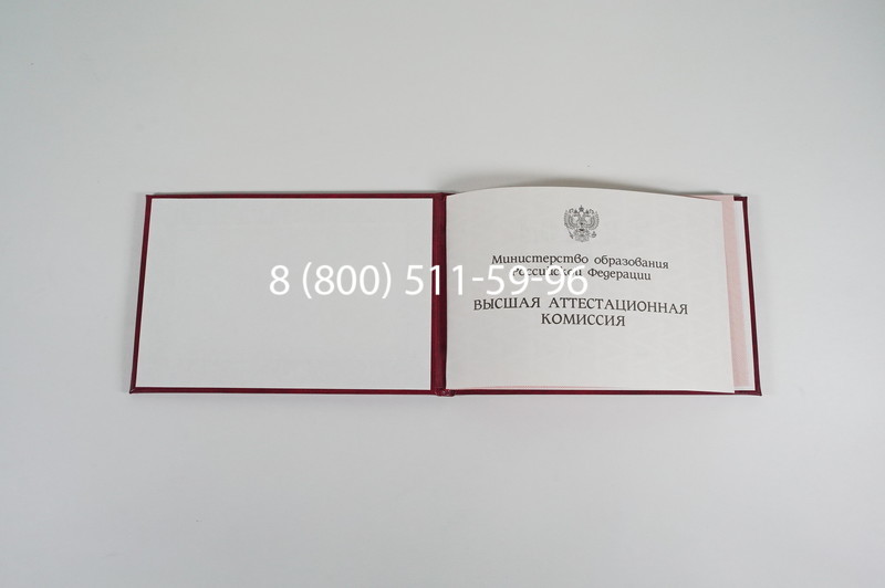 Диплом доктора наук 1995-2006 года в Подольске Диплом доктора наук 1995-2006 года в Подольске