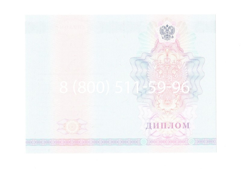 Заказать Диплом колледжа 2007-2010 годов в Подольске Заказать Диплом колледжа 2007-2010 годов в Подольске
