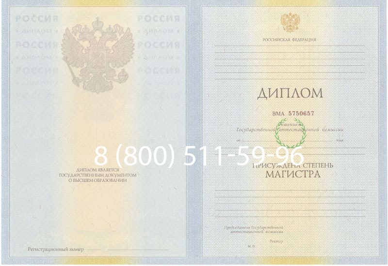 Купить Диплом магистра 2010-2011 годов в Подольске