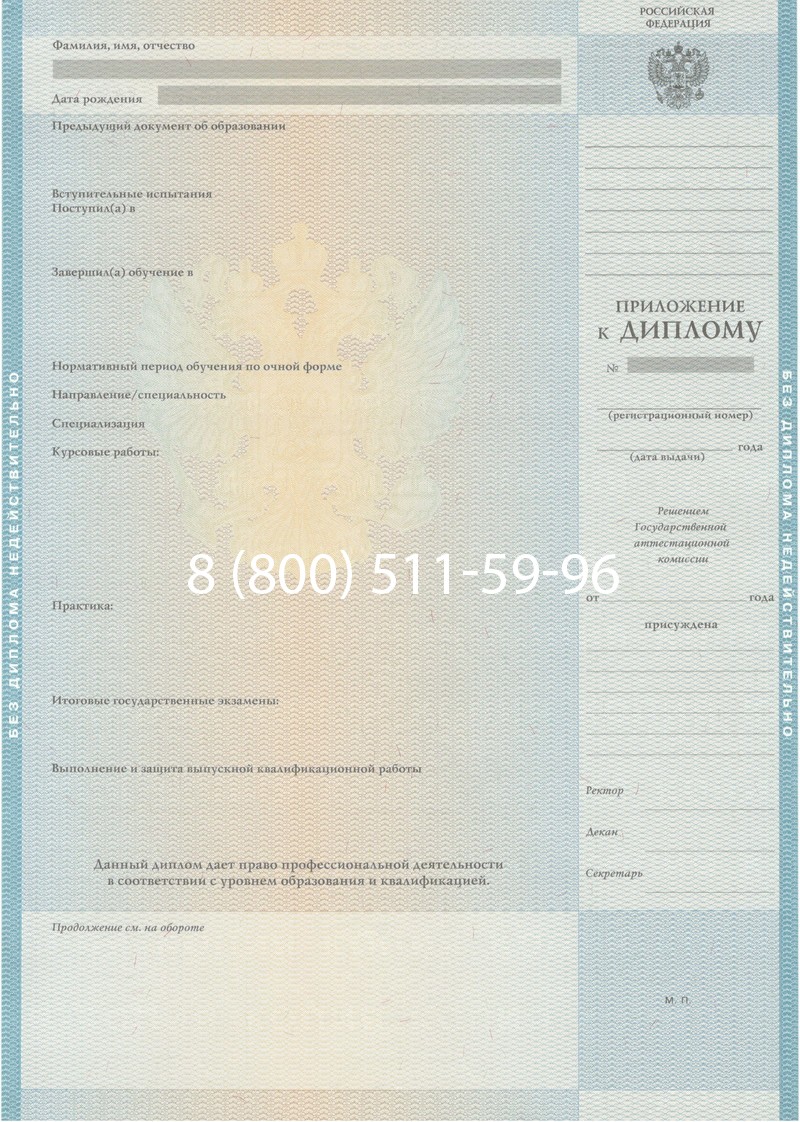 Заказать Диплом специалиста 2010-2011 годов в Подольске
