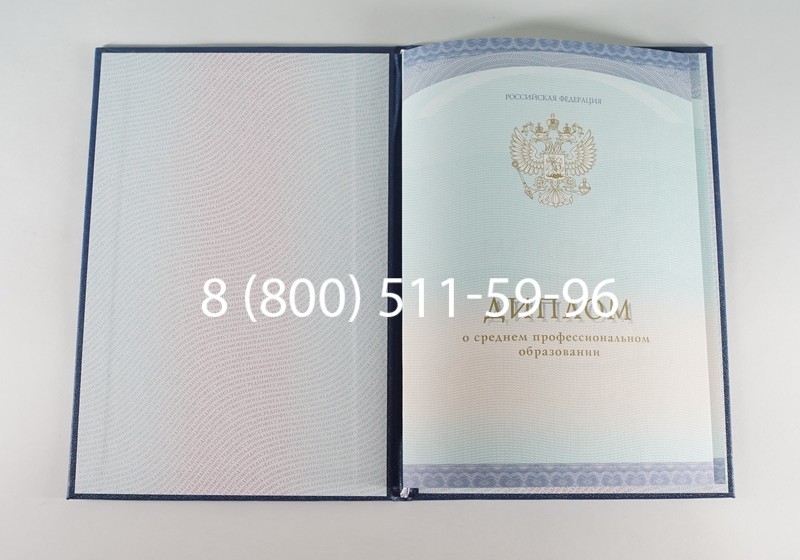 Заказать Диплом техникума (Спецбланк) 2014-2024 года в Подольске