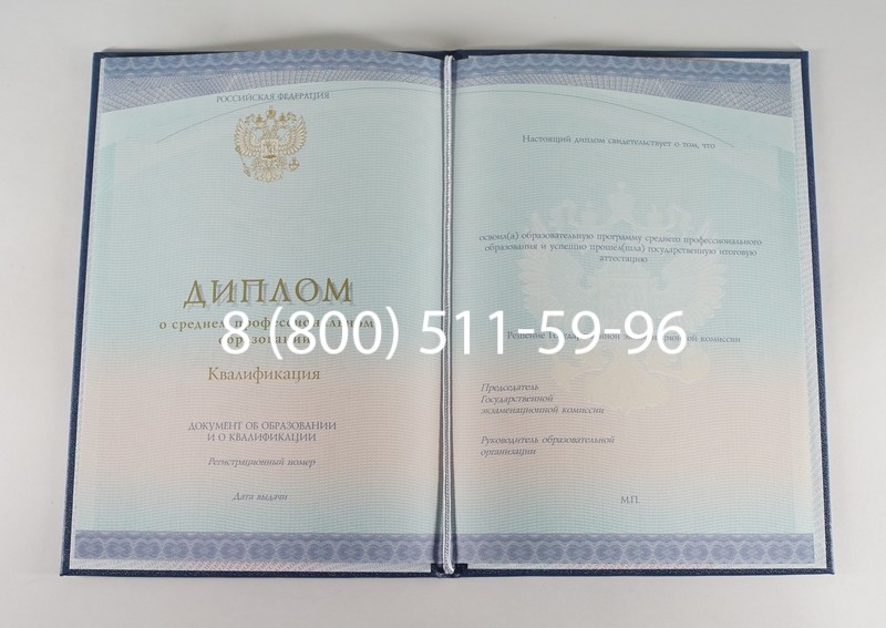 Диплом техникума (Спецбланк) 2014-2024 года в Подольске