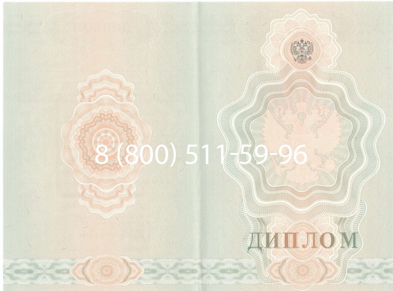 Купить Диплом училища 2007-2009 годов в Подольске